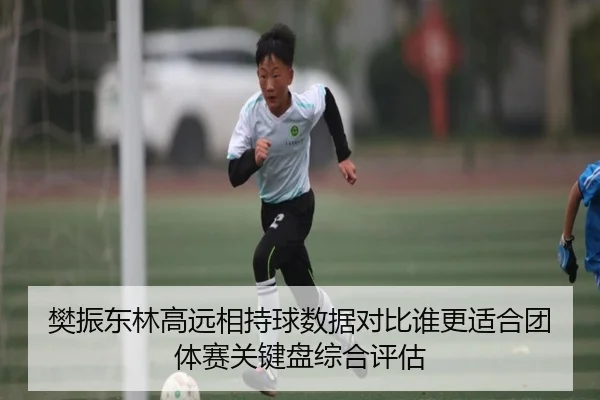 樊振东林高远相持球数据对比谁更适合团体赛关键盘综合评估